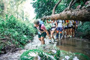 BIB: 
                            <button type="button" onclick="openModal(25467373)" class="btn btn-primary btn-sm float-right btn-popup" data-toggle="modal" data-target=".modal-high-quality">
                        <i class="fas fa-shopping-cart"></i> Add to Cart
                    </button>
                                            <button type="button" onclick="isThisMe(25467373, true)" class="btn btn-success btn-sm float-right btn-popup btn-isme hidden" data-toggle="tooltip" data-placement="bottom" title="นี่คือรูปของคุณใช่ไหม คลิกที่นี่เพื่อเอาเข้าอัลบั้ม">
                        <i class="fas fa-plus"></i> Add to album
                    </button>
                    <button type="button" onclick="isThisMe(25467373, false)" class="btn btn-warning btn-sm float-right btn-popup btn-isnotme hidden">
                        <i class="fas fa-ban"></i> Remove from album
                    </button>